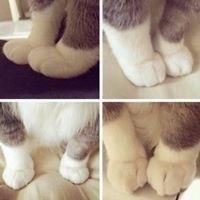 Nguyễn Trọng Vĩnh