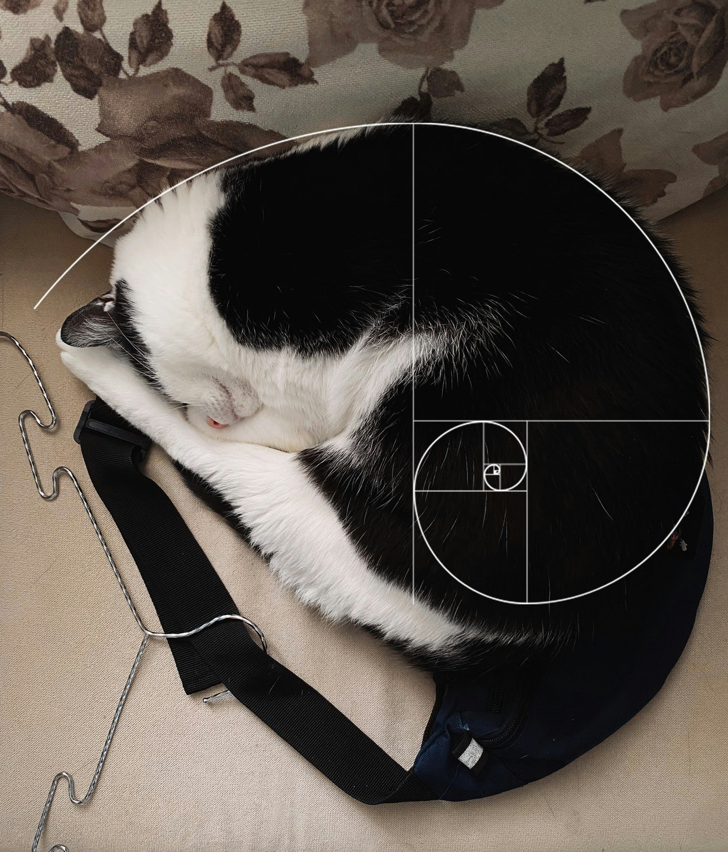 Татьяна Лушникова