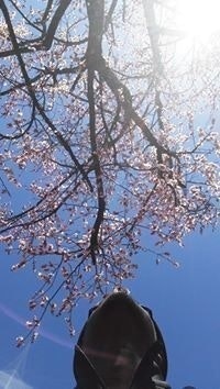 Vamsi Krishna Rayudu