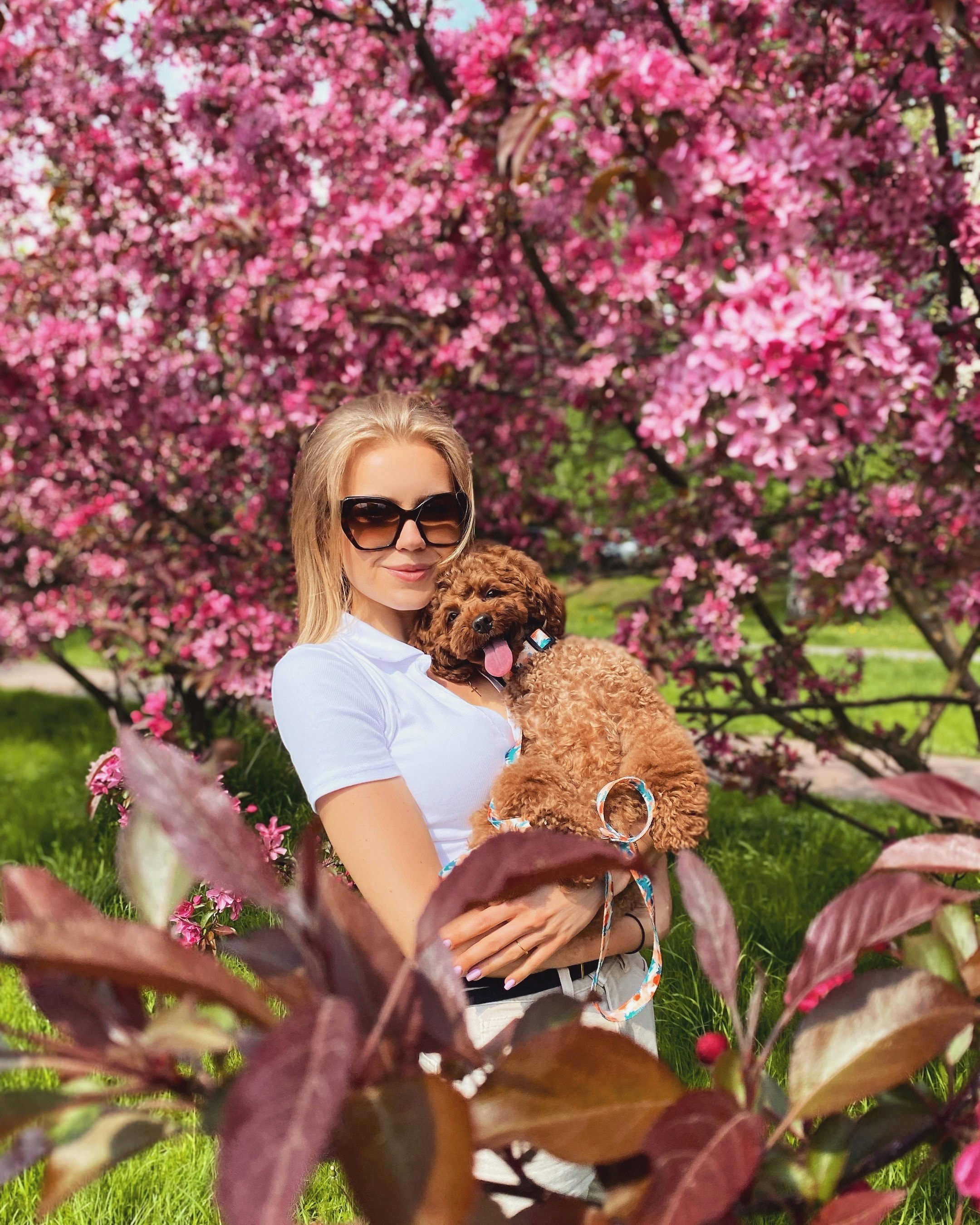 Katarzyna Dąbrowska