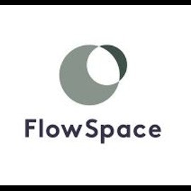 Flow Space