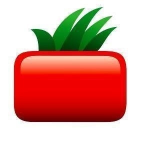 Square Tomato