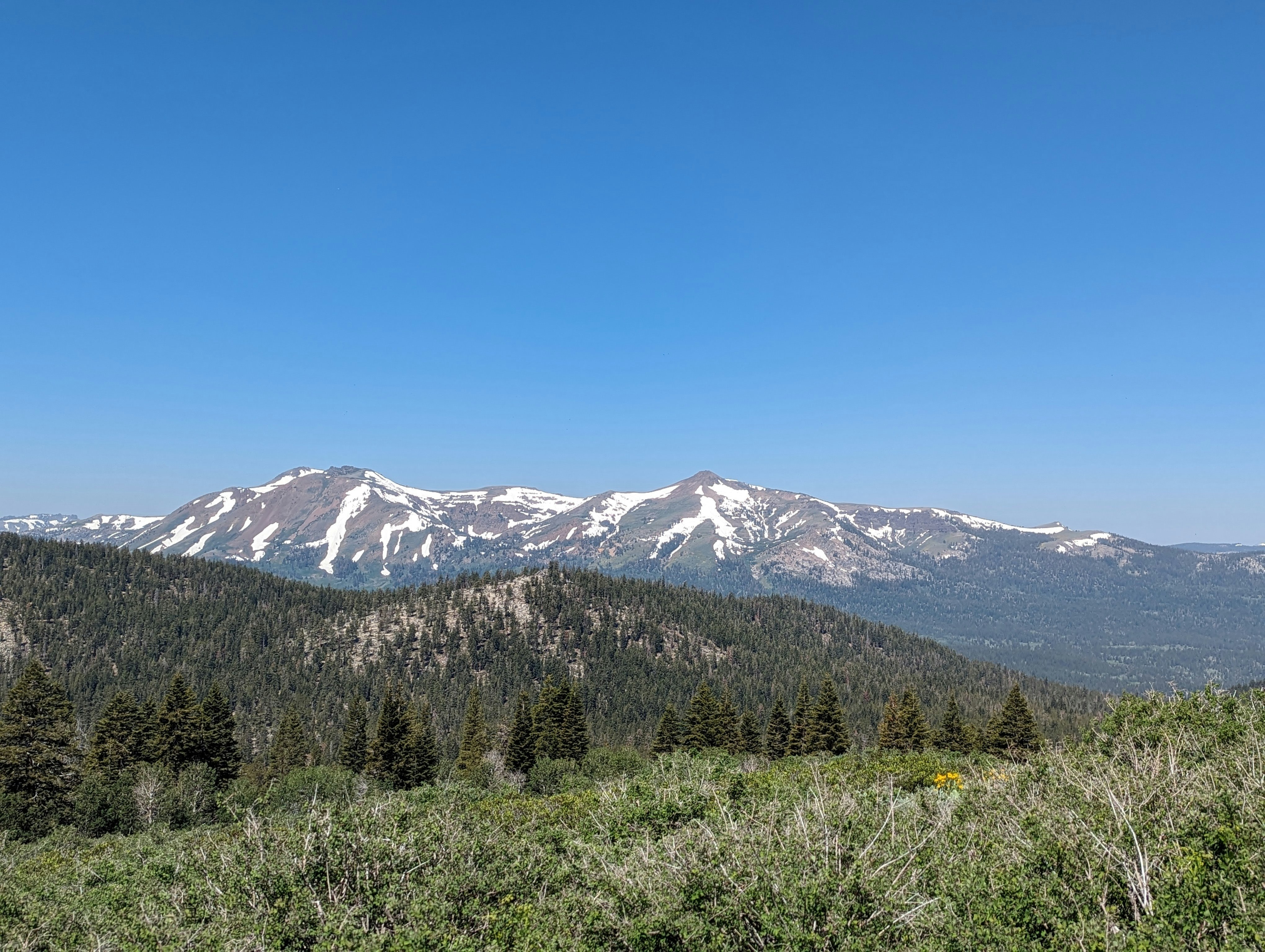 Priya Balasubramanian