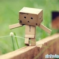 Danbo Card