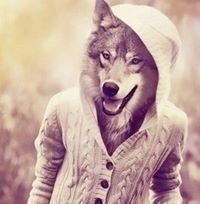 Данияр Бабамурадов