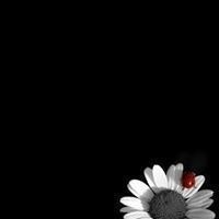 Mim Fatih Anderoğlu