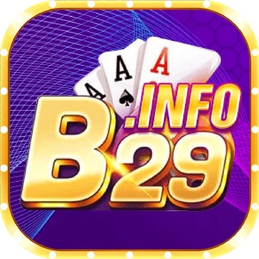 b29info