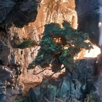 Tyu Tyu| Ledgity Airdrop, HaqXpert 💎