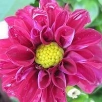 John Kristen Leichty