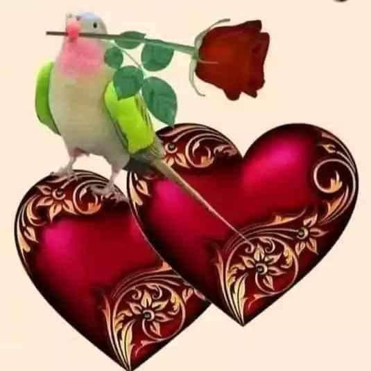 C.CASIIS BK PRODUCED