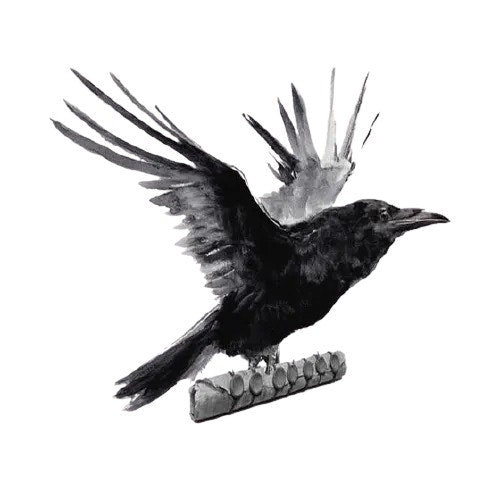 Route Raven