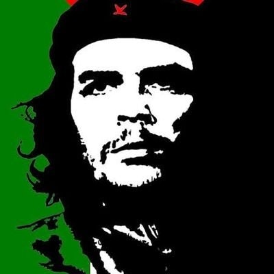 🌹Sarah🌹🇵🇸Palestinian Freedom Fighter🇵🇸