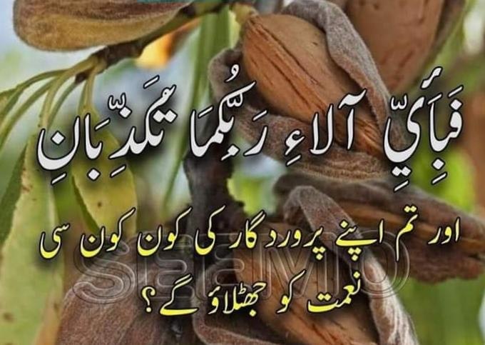 Malik Zulqarnain haider