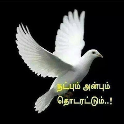 ramalingam muthiayan