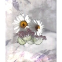 Claudia Esther Ehret