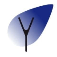YANEOWEB