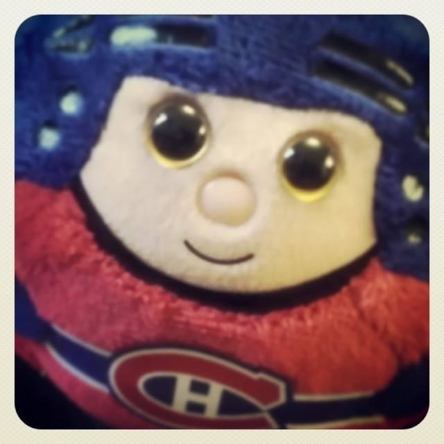 ᴉɾlɐ˥ uᴉɯ∀