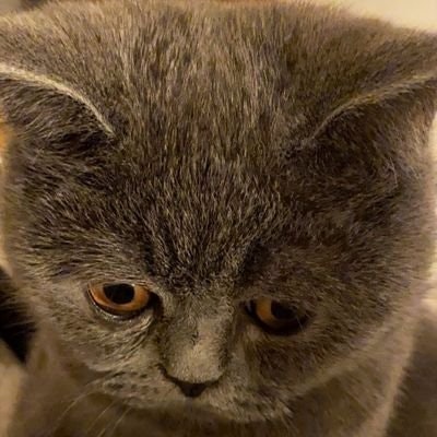 İbocan 🐐 | 🐐 ⚙️ 🛸 ⚡ .fuel ALTAYI.XPLORER