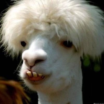 Not literally Batman