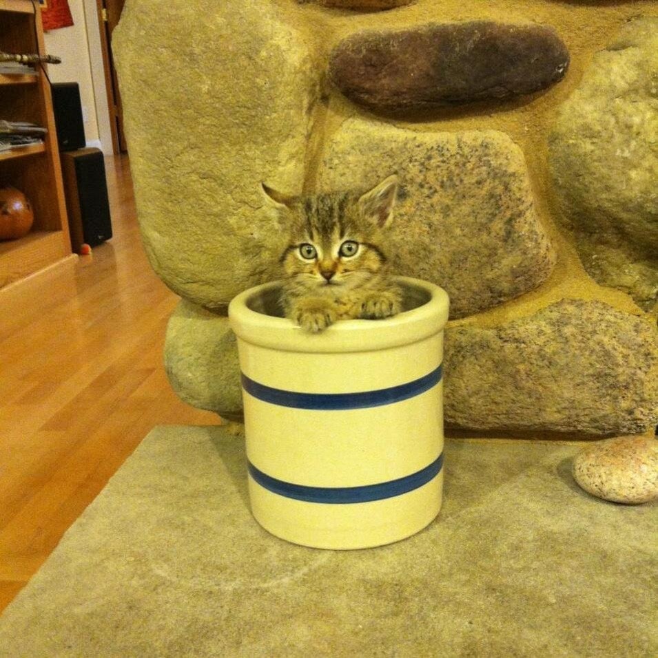 Brian Kersten Wisconsin