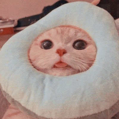 ProductHunt profile picture for @mendoza