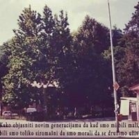 Bojan Dragosavljevic