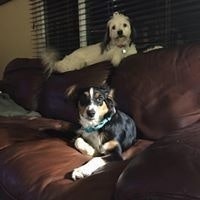 Andrea Lechner-Becker