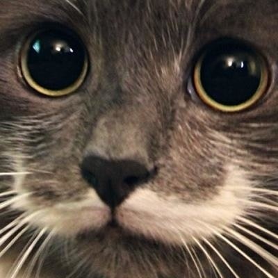 ᓾᘜᓎᖇᖽᐸᓬᙍᒶ