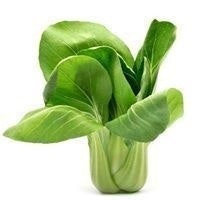 Pak Choi