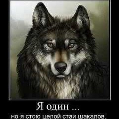 Роман Чунарев