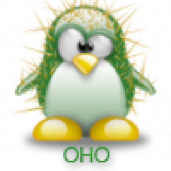 ProductHunt profile picture for @oho
