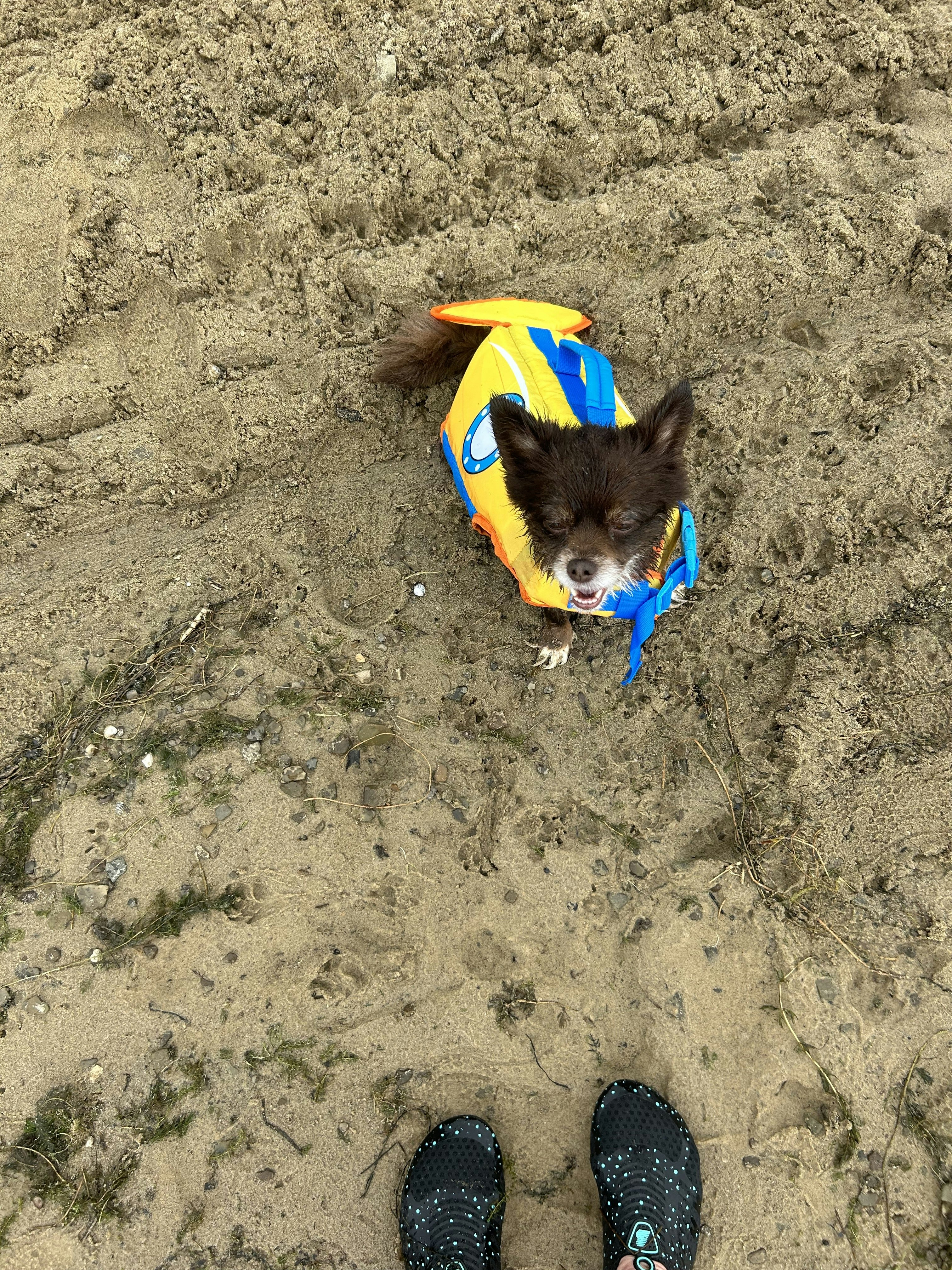 Cheryl Womack-Vinson