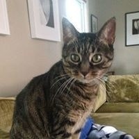 Betty Salesses Brennan