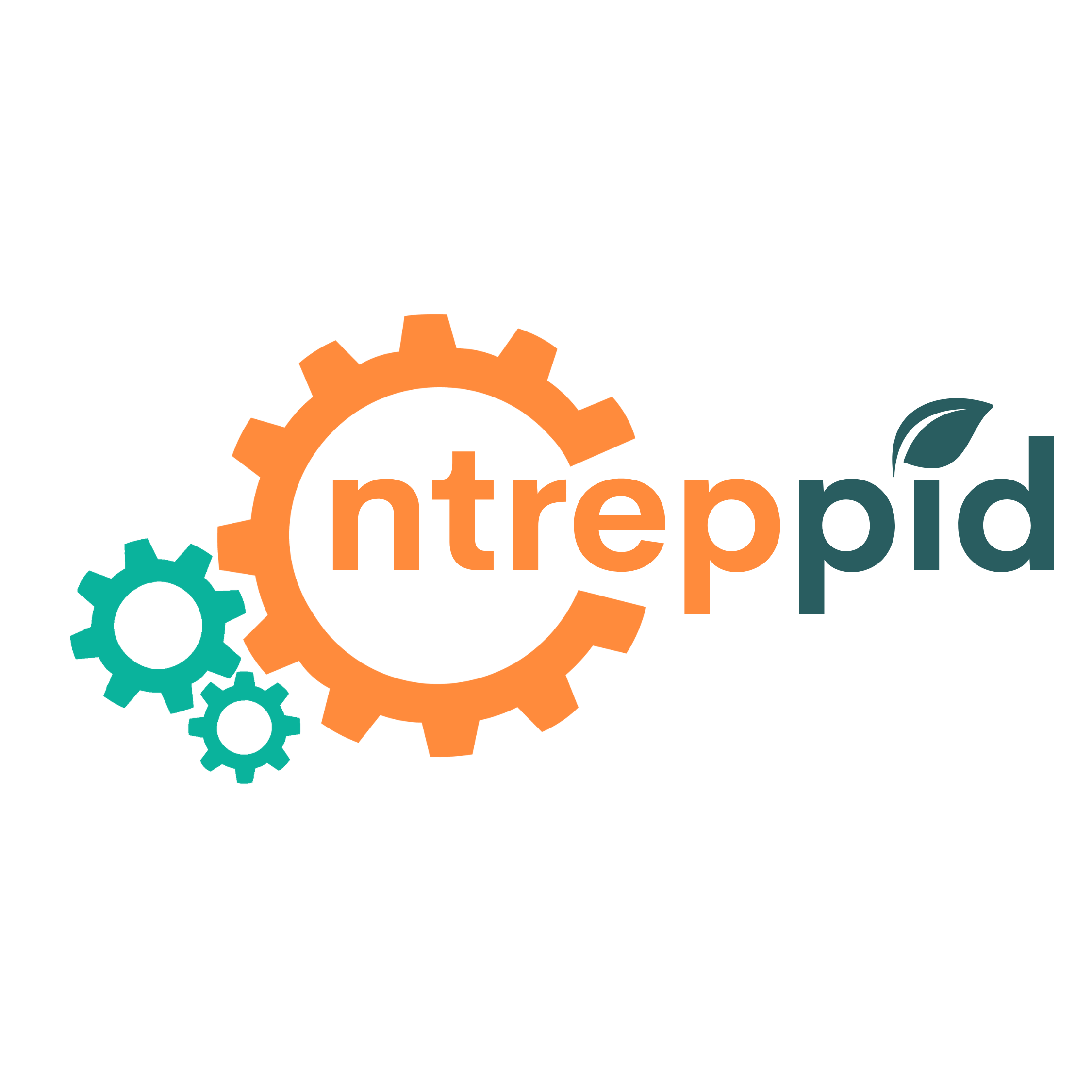 Entreppid Software