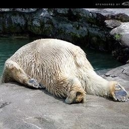 Oliver Martin Deubel