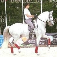 Ricardo Costa de Vilhena