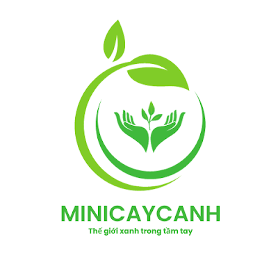 Mini cây cảnh