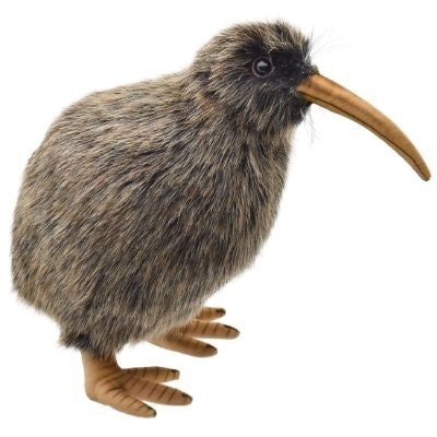 Kiwi