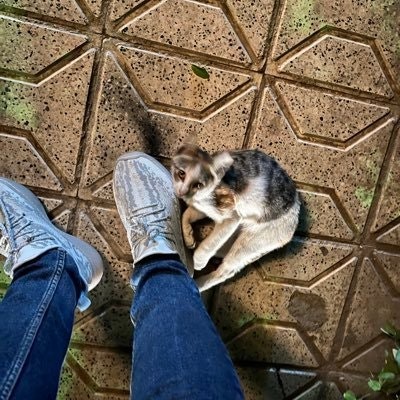 brutalsex.lens ♦️👹"(🌸, 🌿)" ❤️ Memecoin