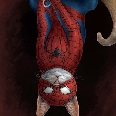 Makar❤️ Memecoin