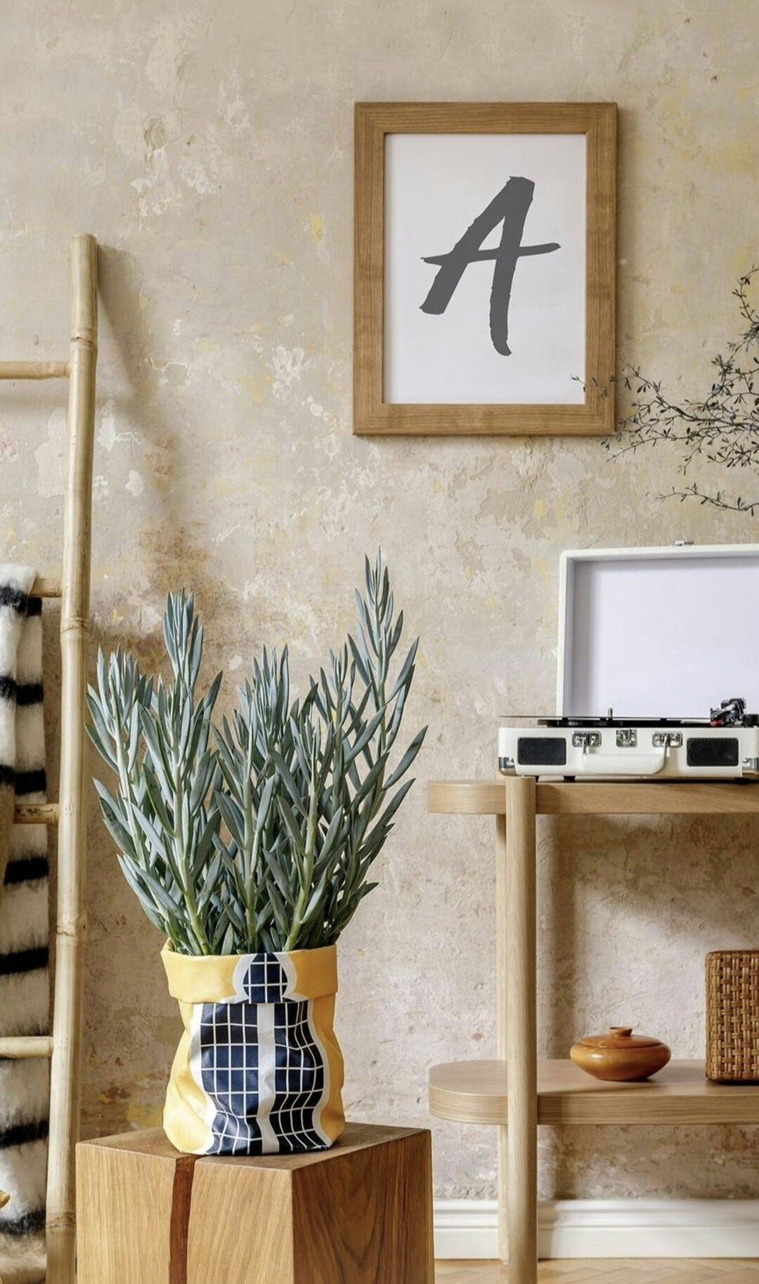 Aditi Sachin  Chavan 