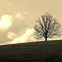 Muhammad Valdie Arsanur