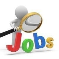 Govtjobs Jobs New