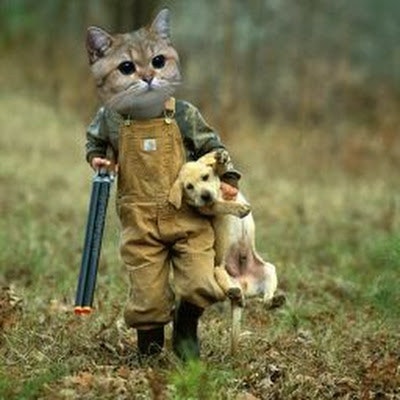 Орест Пипка