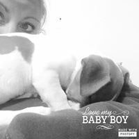 Shazz van der Schyff