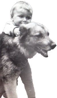 Максим Стусенко