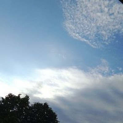 Laurent Delphine Richon Hebding