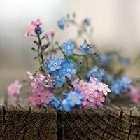 زينب الخمليشي