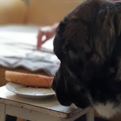 Сергей Остапенко