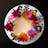 Kiki Everard Cakes